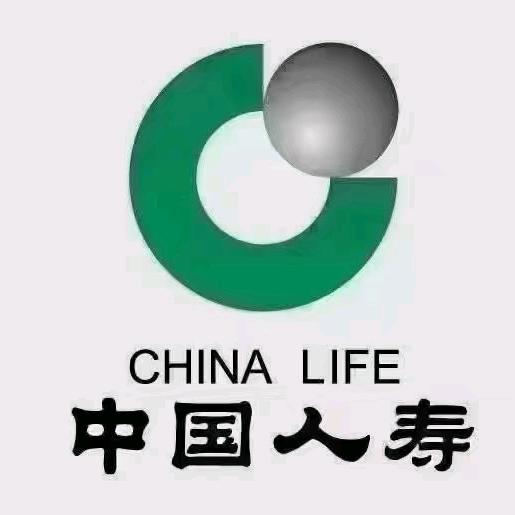 中国人寿保险公司