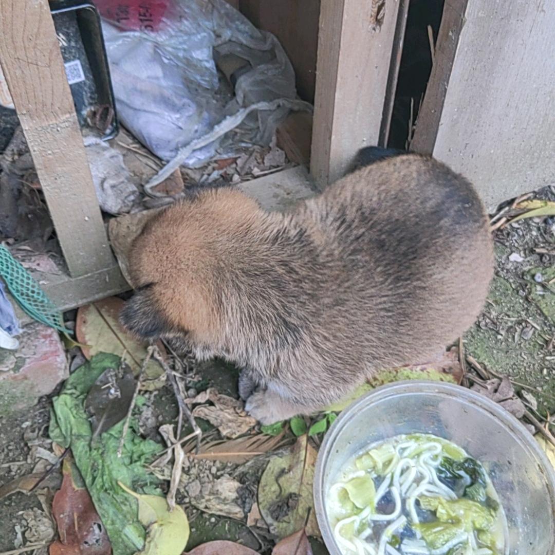 同一个梦想