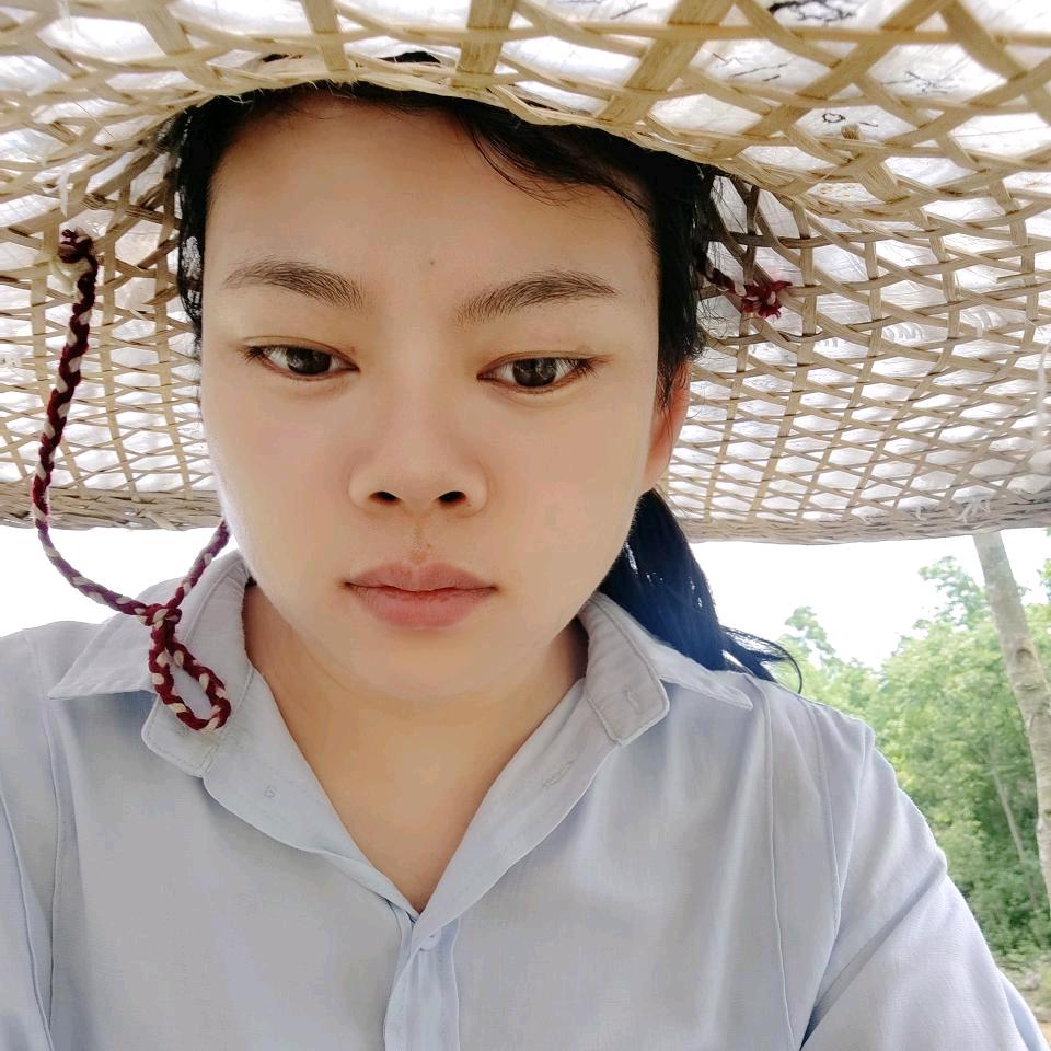 吴金波生猪销售