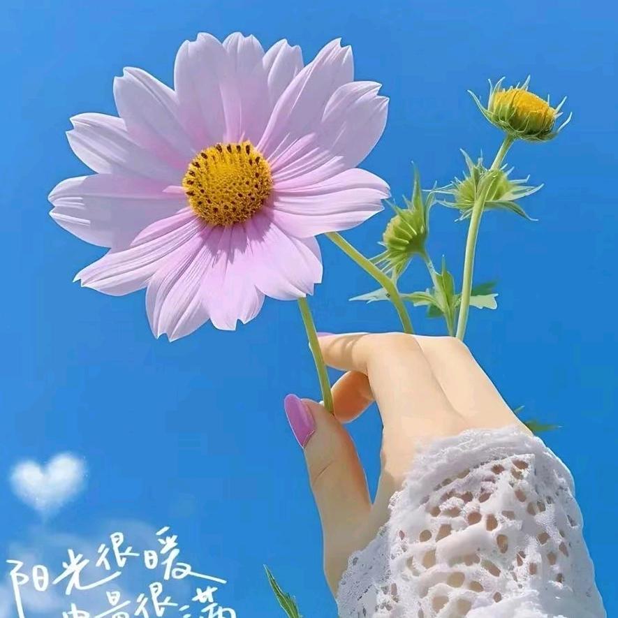 静待花开麻业工厂