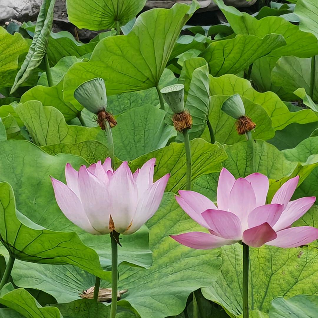 越来越好