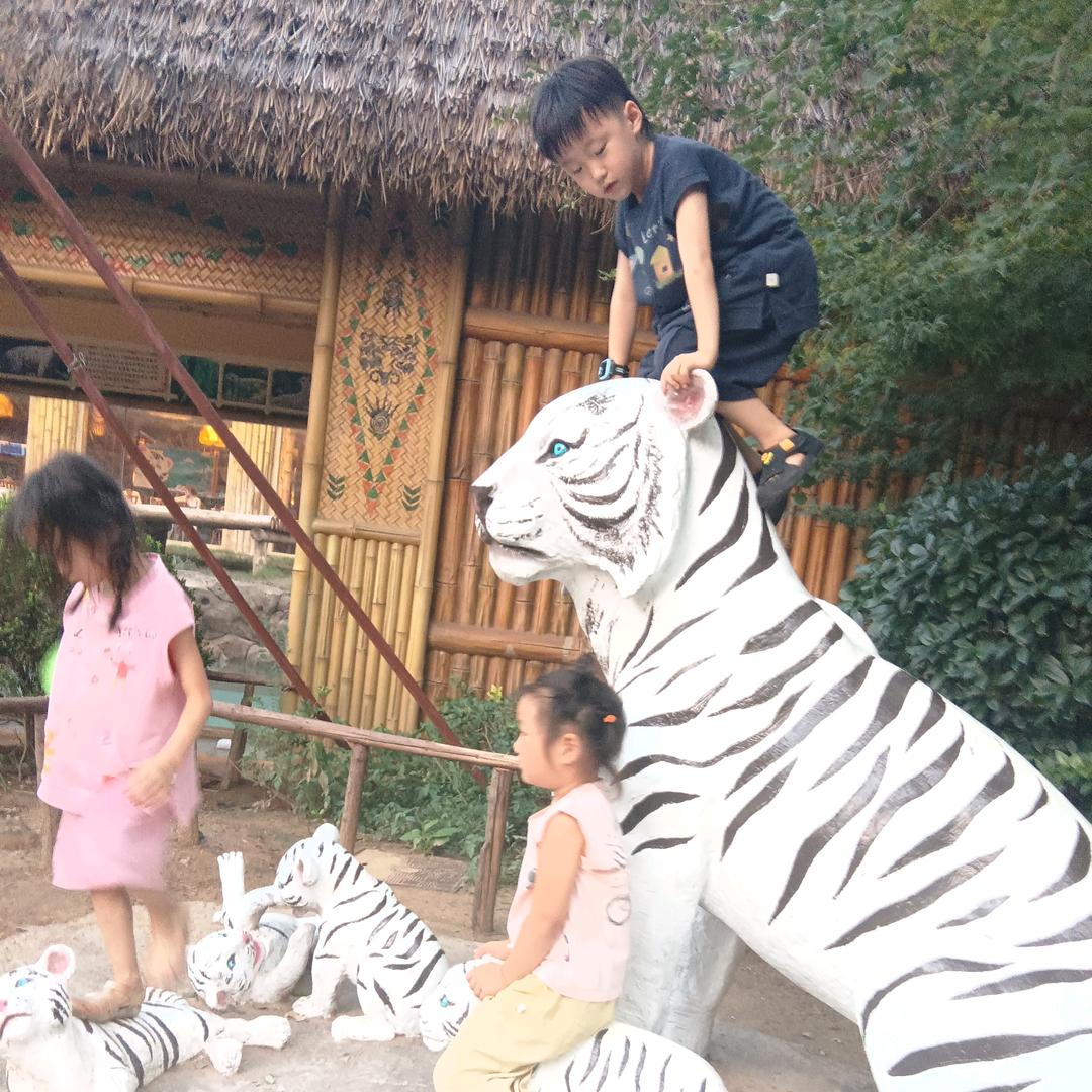 贾珞宁奶奶
