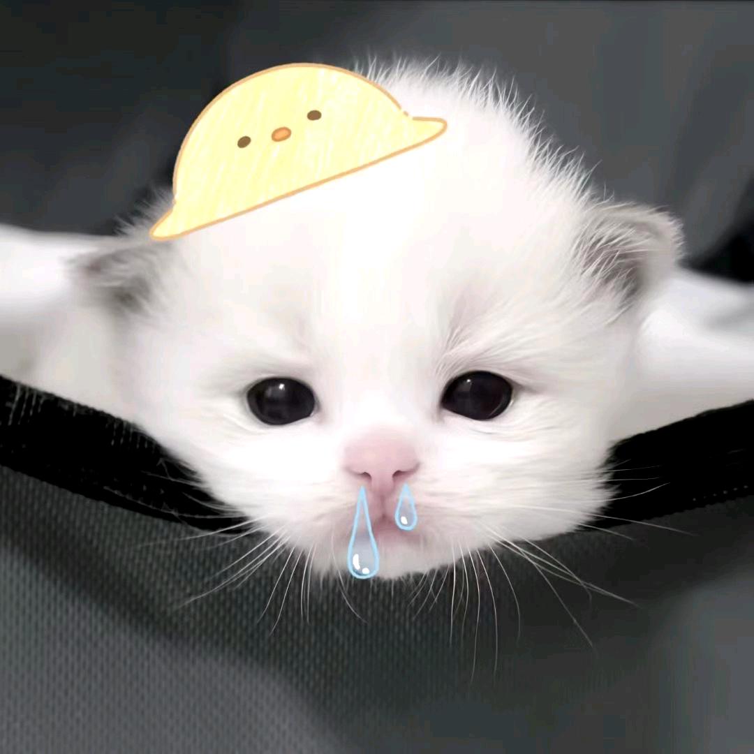 日暮
