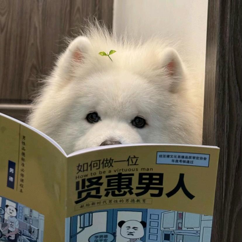 发秘