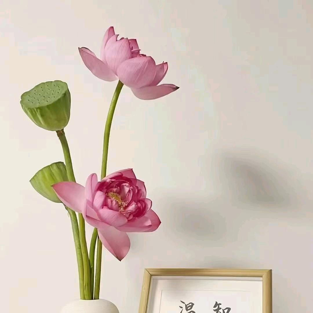 奕桥-徐