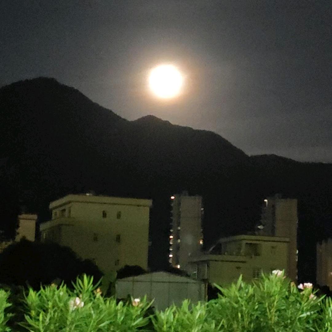 .ℳ𝐹𝑜𝑟𝑒𝑣𝑒𝑟✨