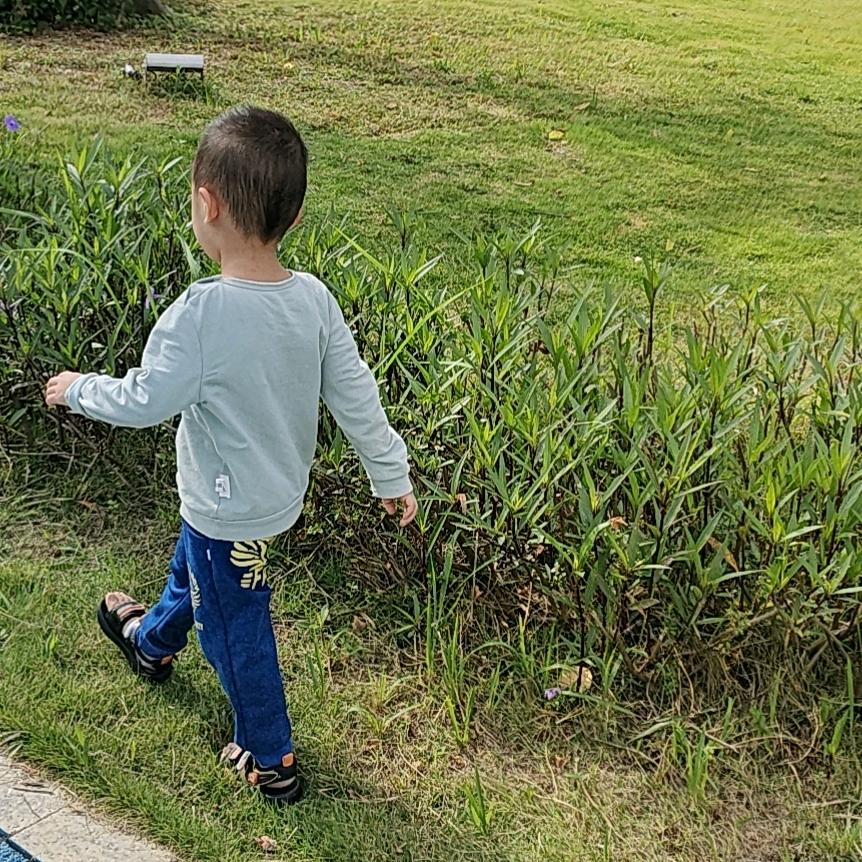 足球小子