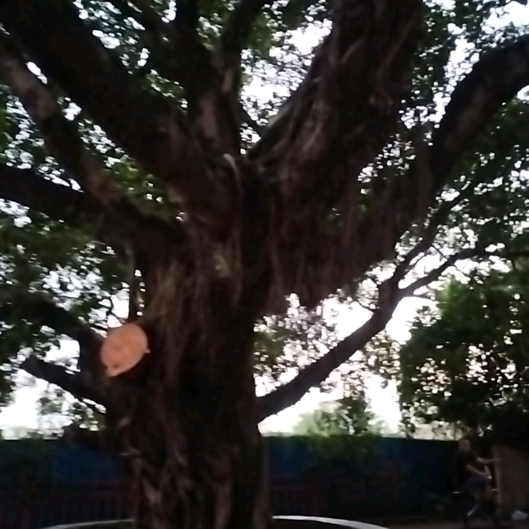 好久没有拍抖音？拍抖音散散心