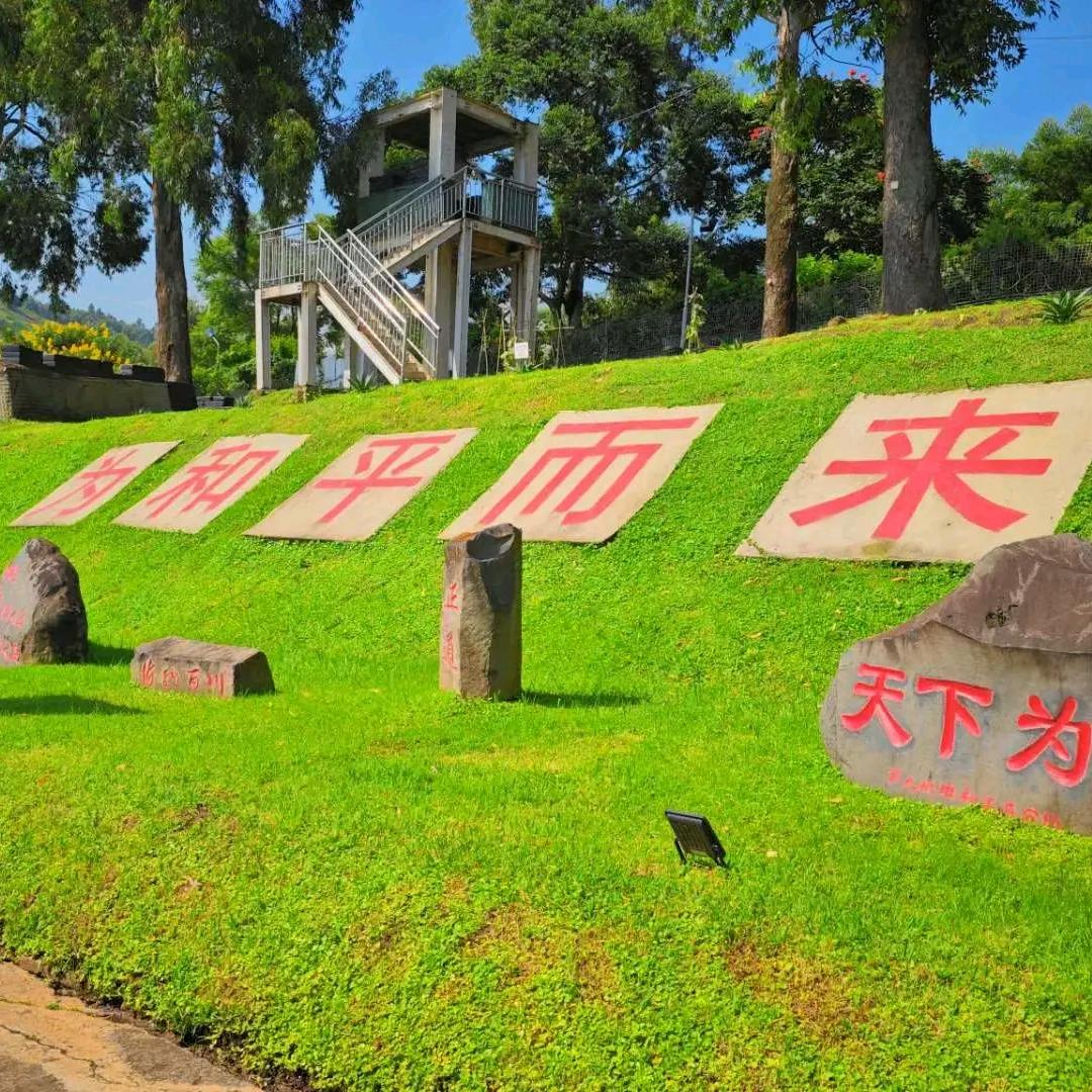 闲来垂钓碧溪上