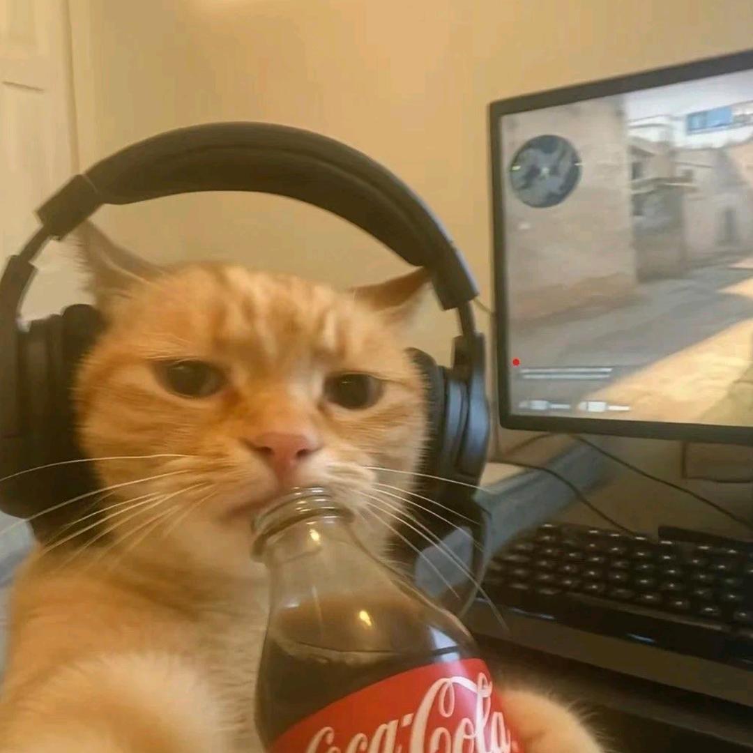 在CSGO摸鱼被领导发现罚我当突破手