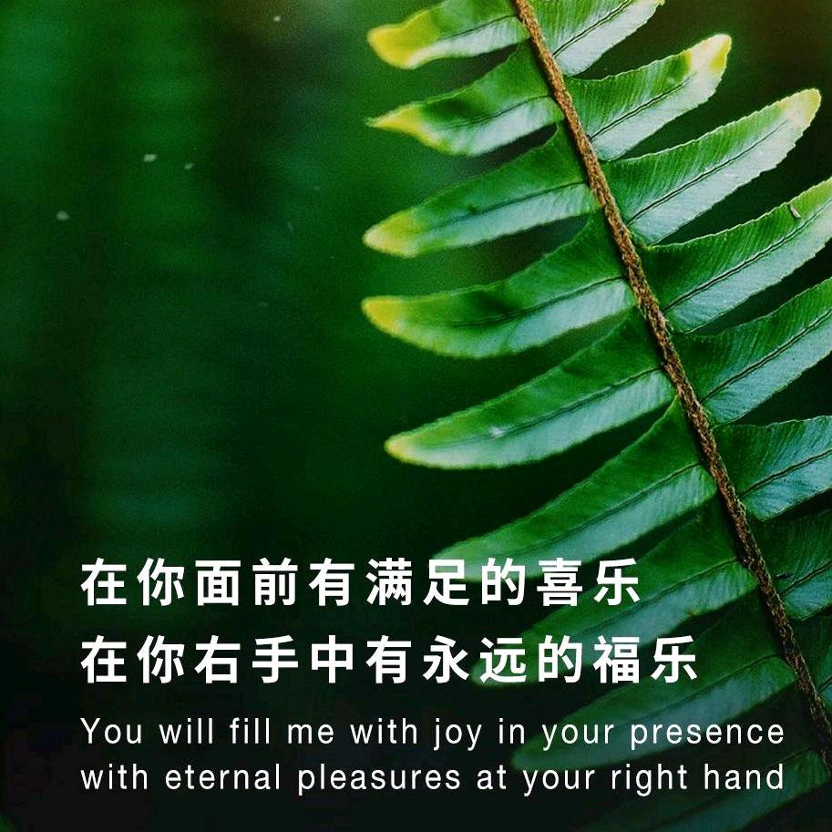 佳美蒜蓉鸭，咸水鸭，