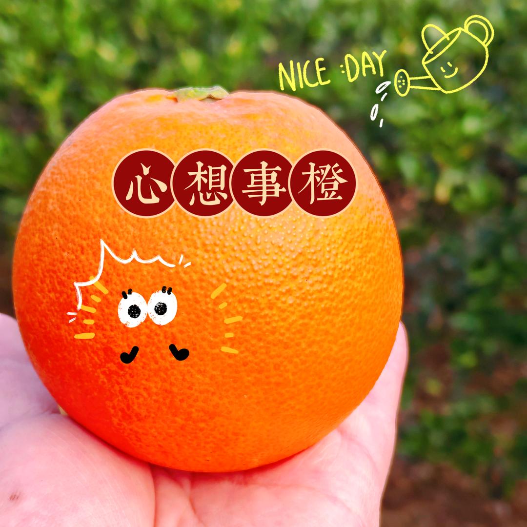 🌈悠悠我心💕💕🌈