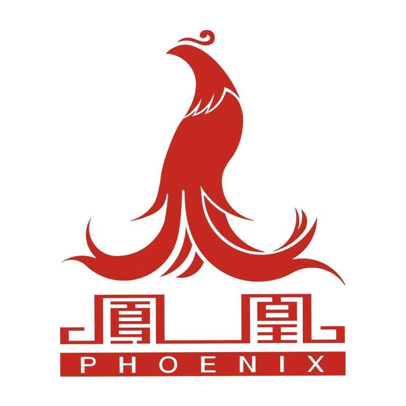 凤凰自行车电动车旗舰店