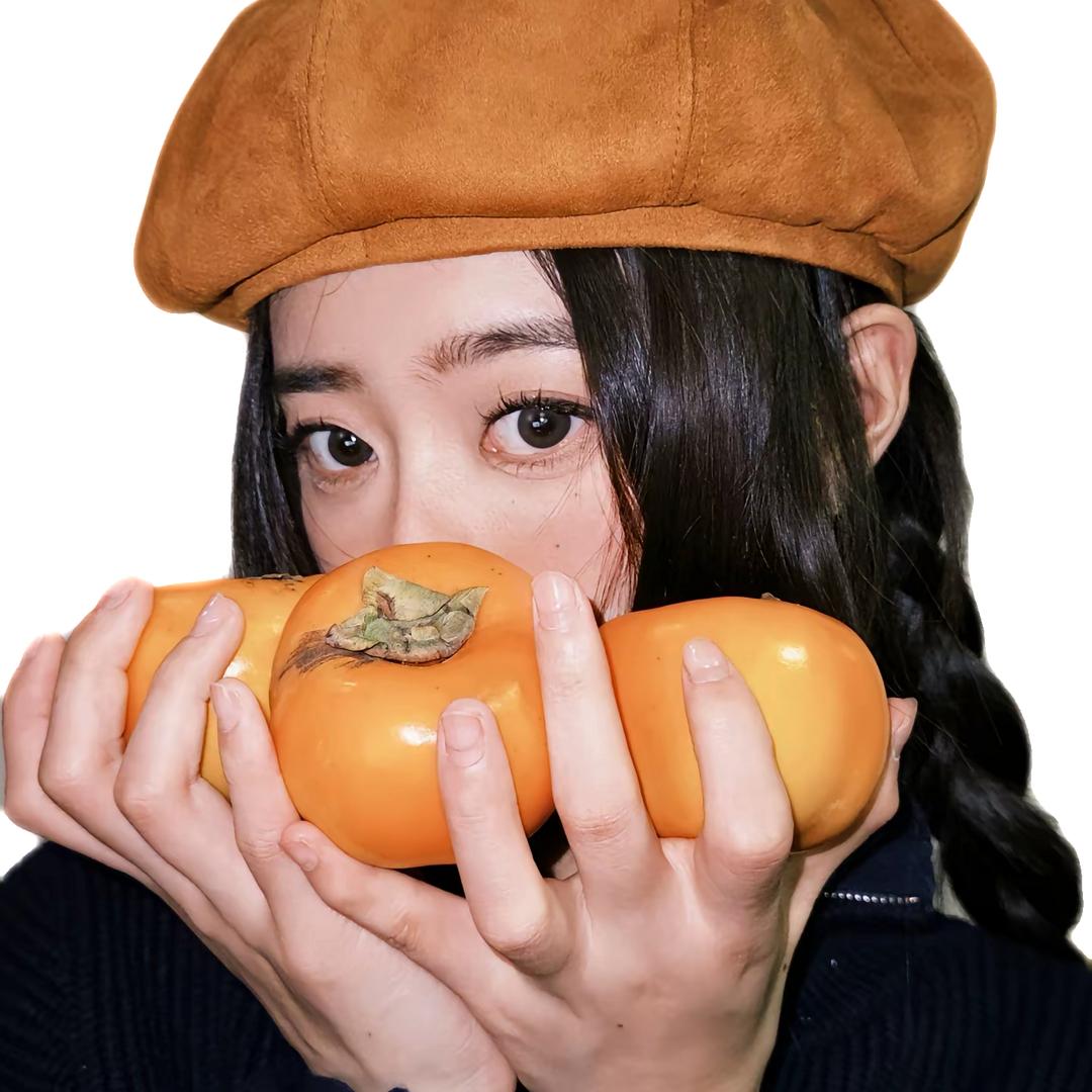 芝嗷赵