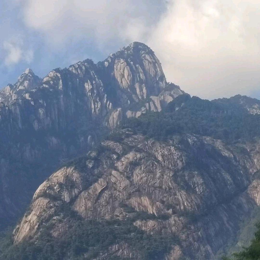 我小姨