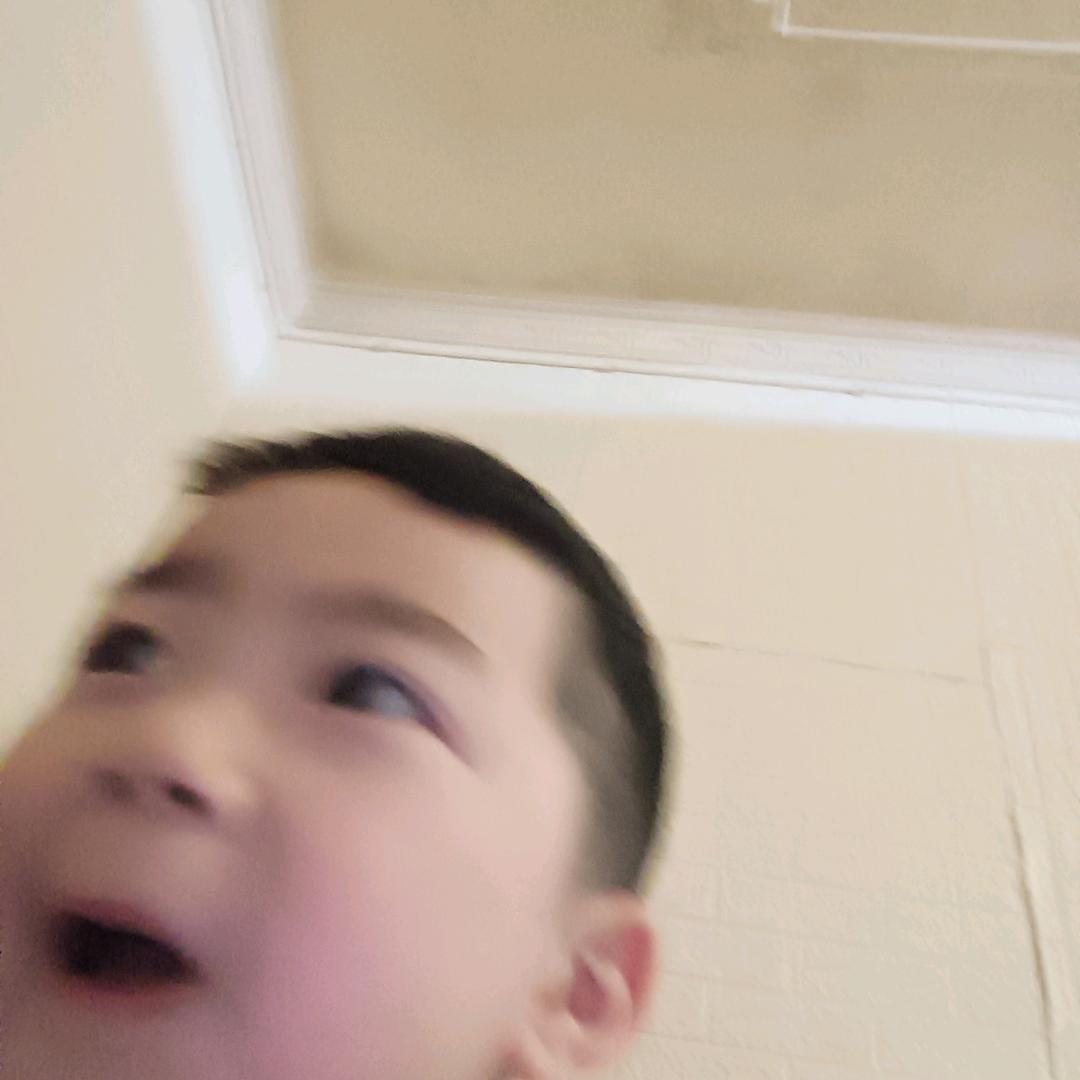 老罗