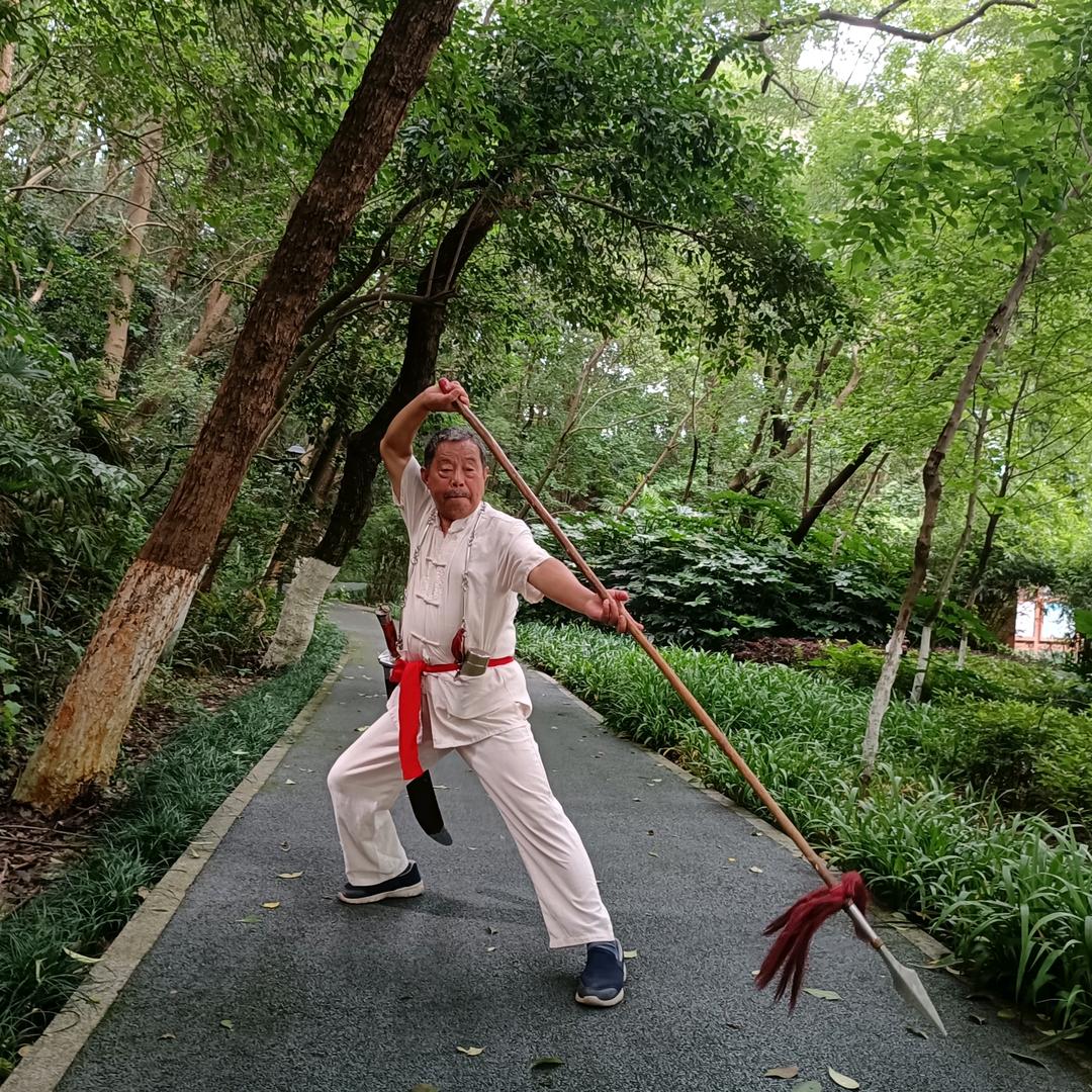 武术人生