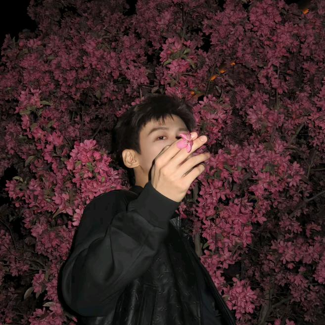 陈皮话梅糖果🍬