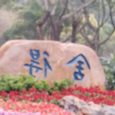 《六六八二》舍得