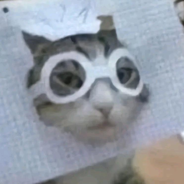 井桐