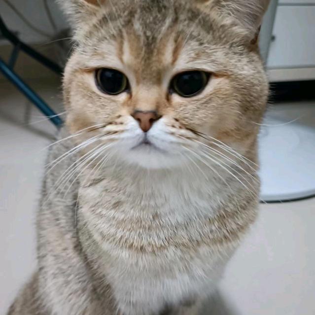 让心归零6239635124140