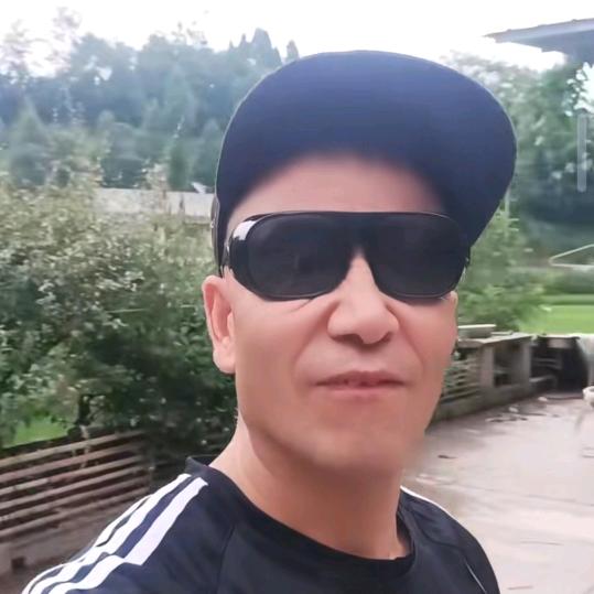 杨号