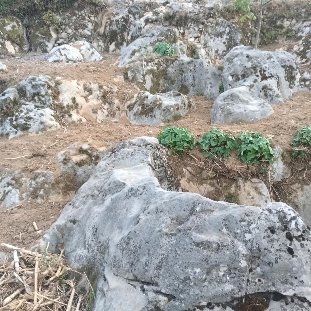 人生如果有你就好了