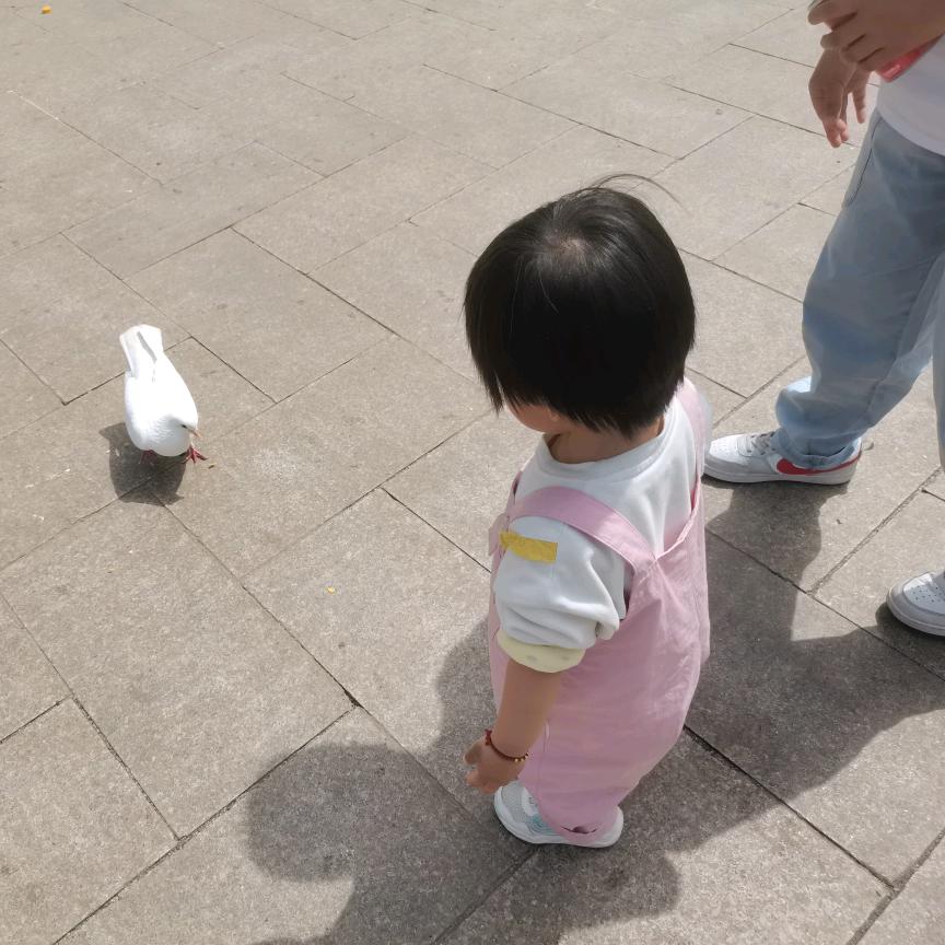 单词速记（惠惠老师）