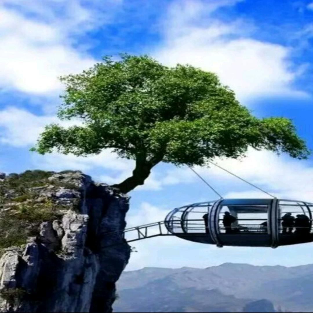 静悟
