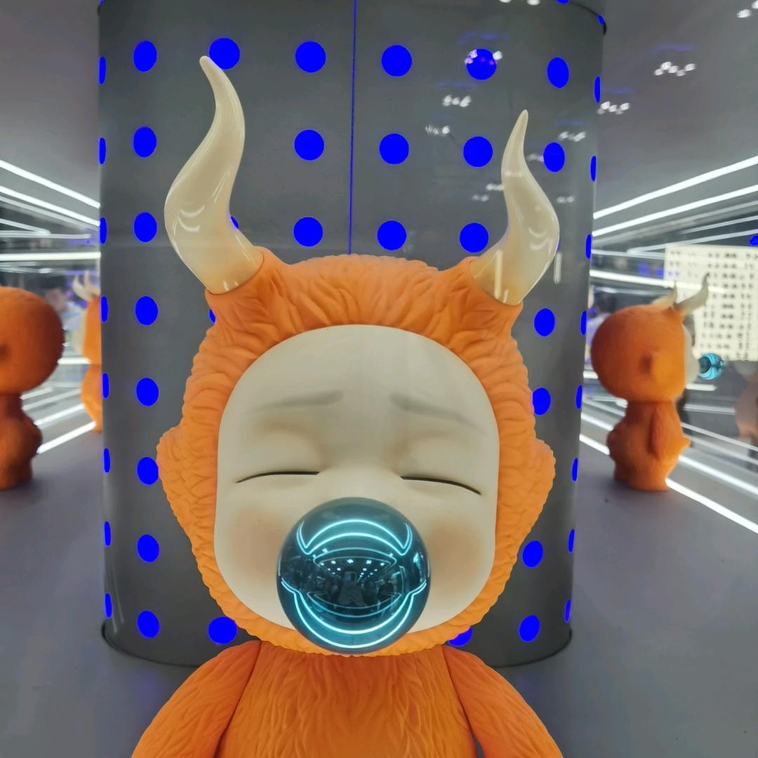 悠然之鱼🐟