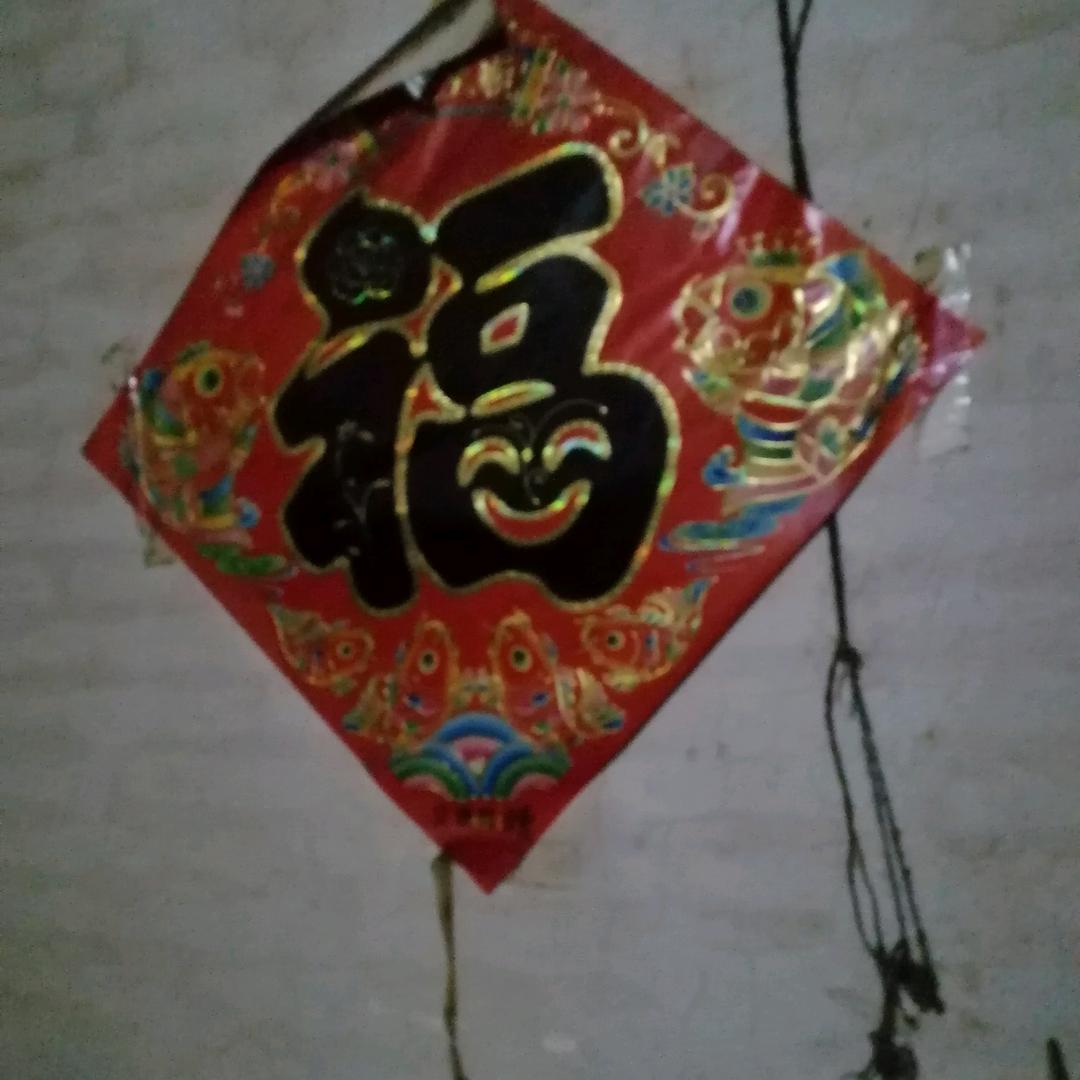 向往末来
