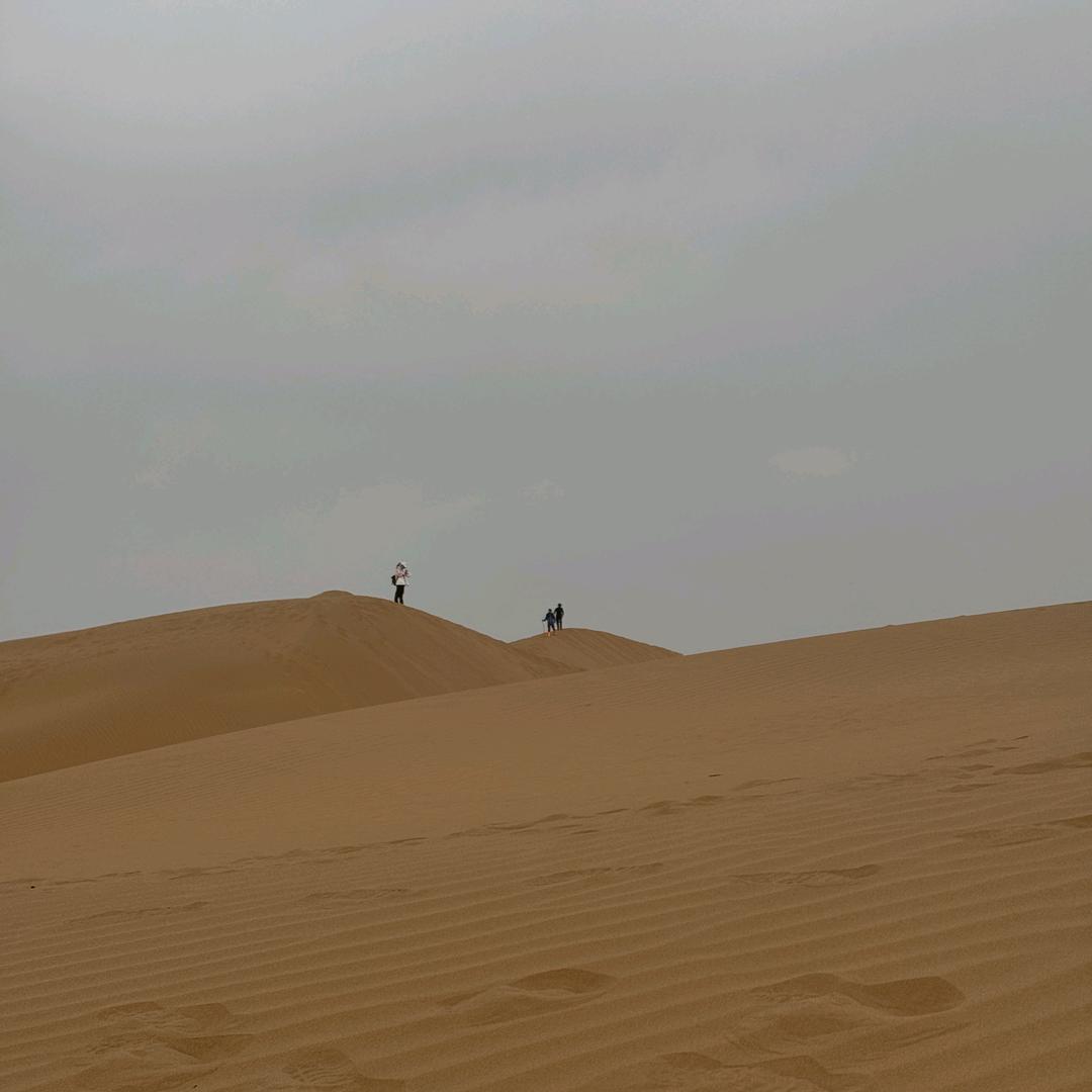 北京新月联合汽车有限公司京B24933