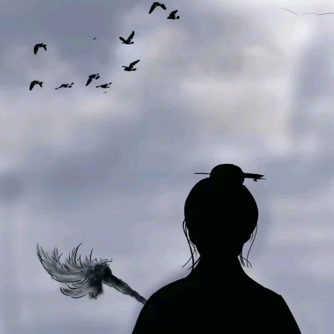 仙柒.
