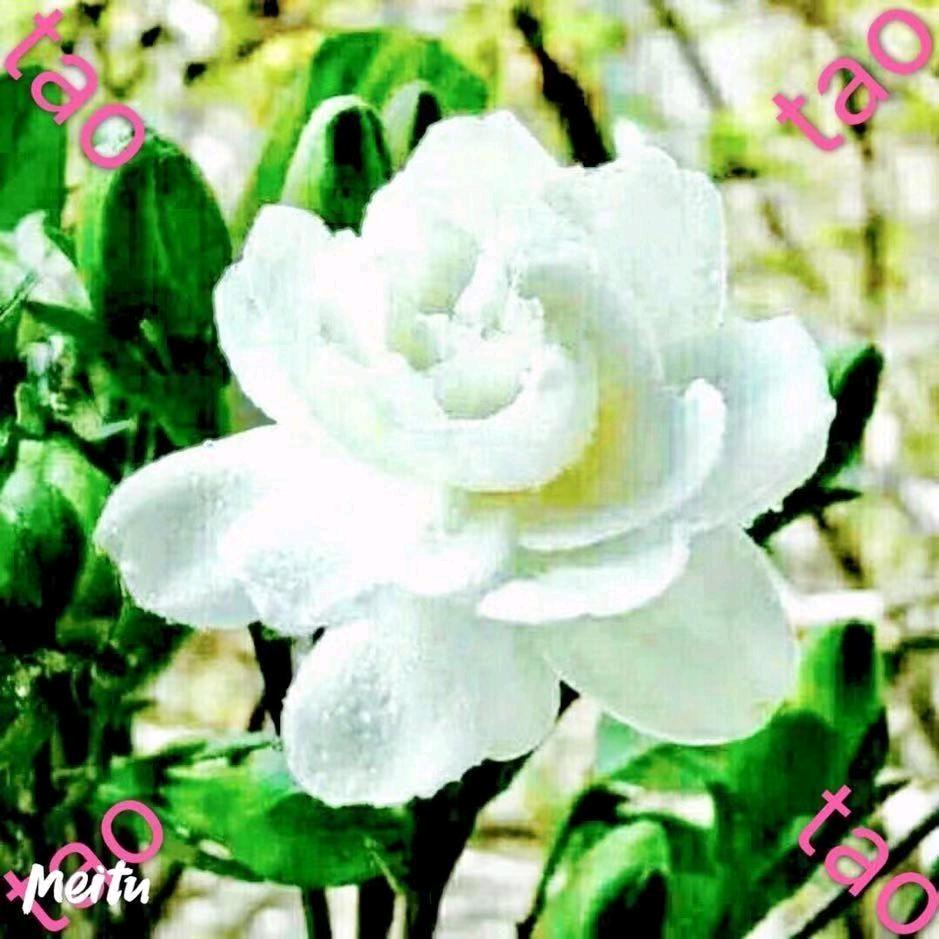 ꦿ꯭এ᭄💞相识🦋是缘࿐