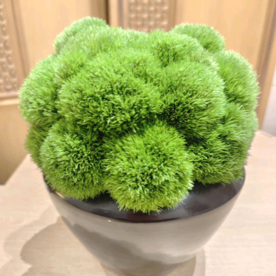 承诺