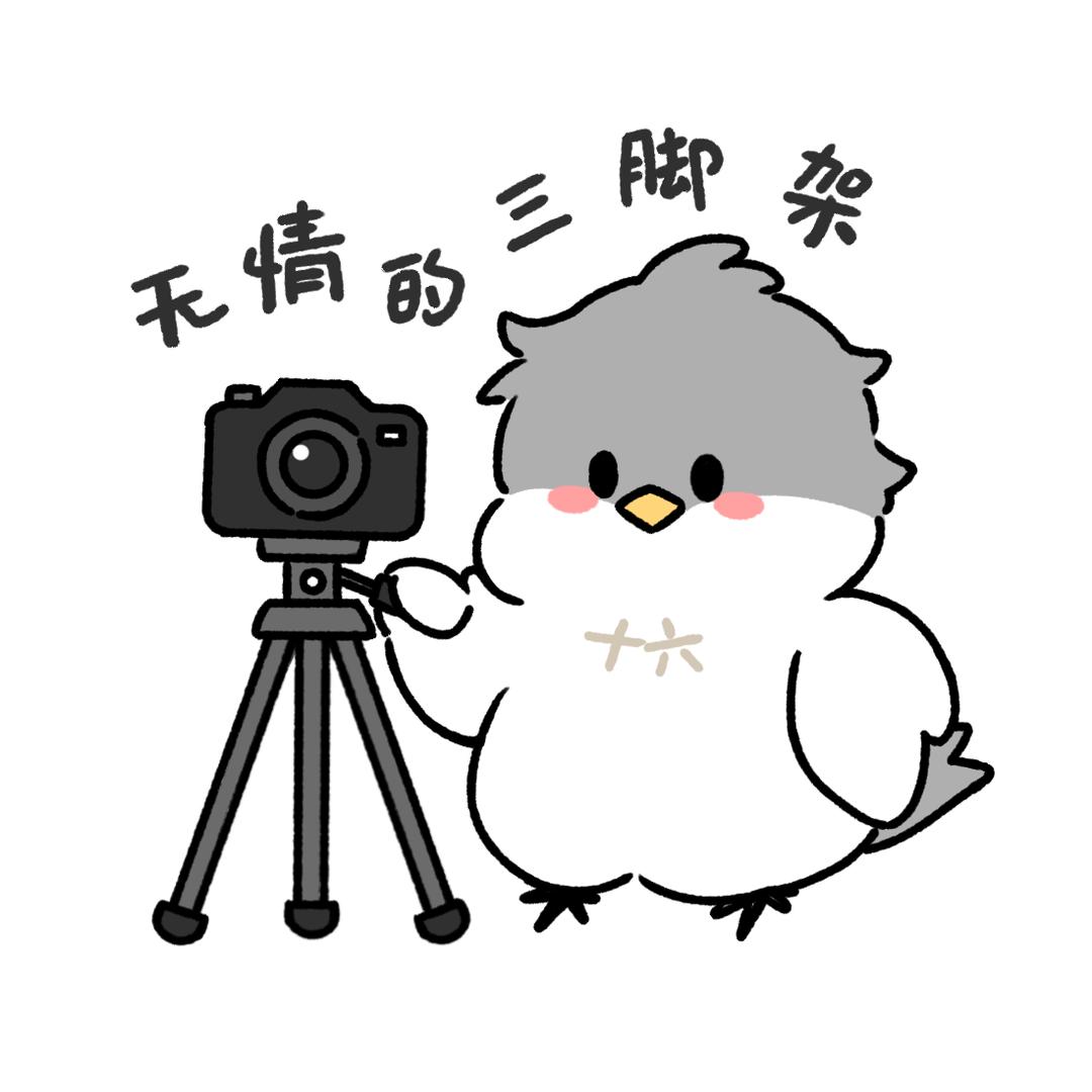 雅雅公主护卫队