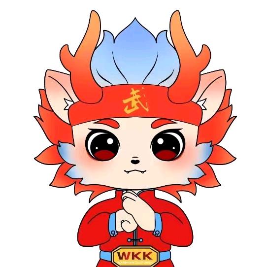 WKK功夫少年武术散打联赛组委会