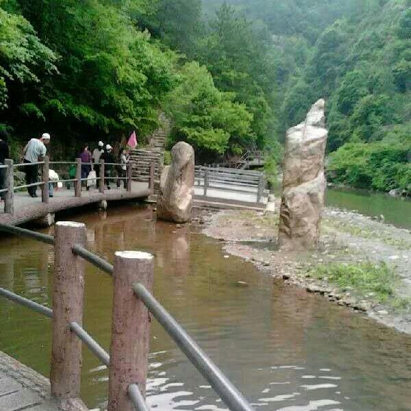 🦋এ᭄张ོ࿐ᩚ