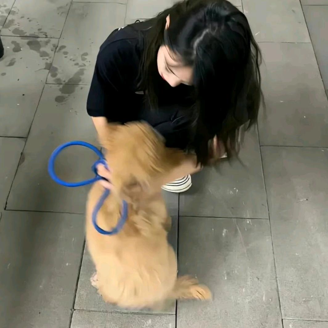宋琼清