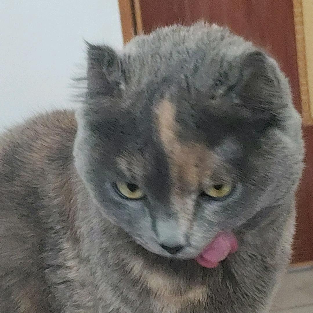 道上的人都叫我汤圆大王！