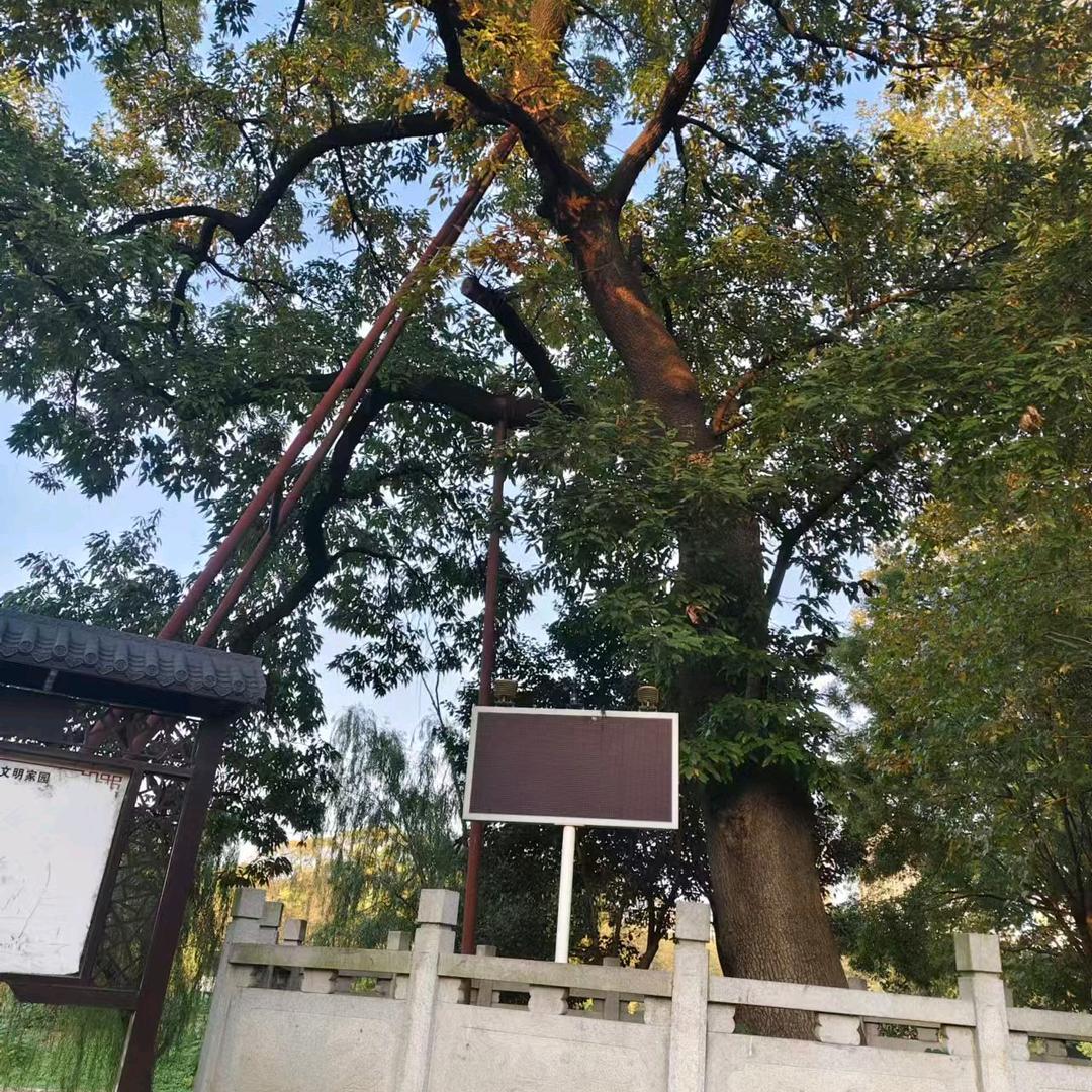 小刚子