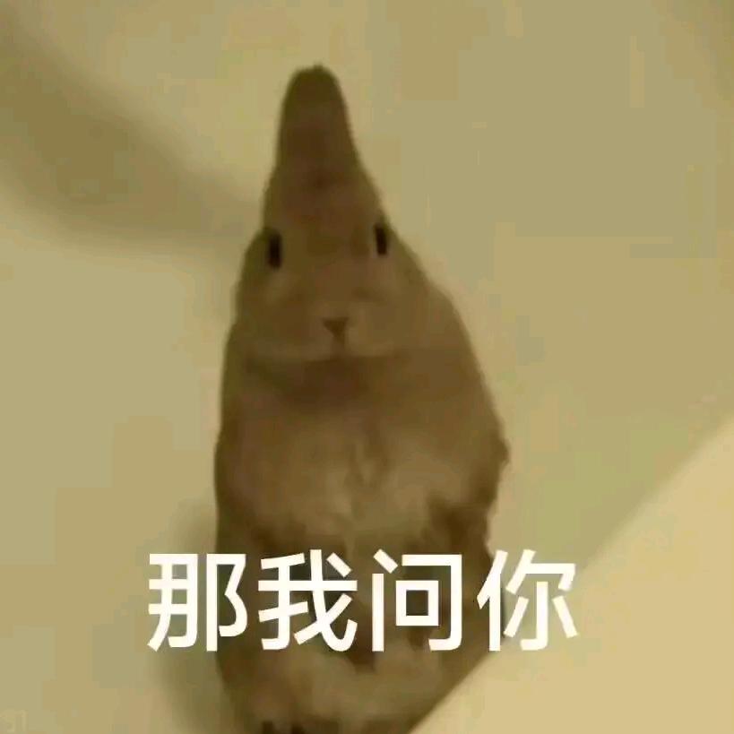 桥桥的奇妙冒险