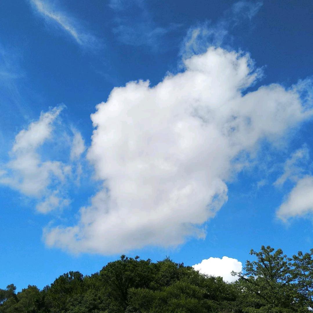 地势坤，君子以厚德载物