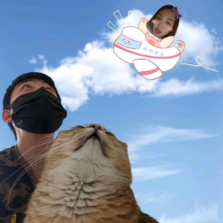 小豹爸比