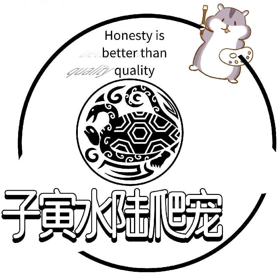 子寅星梦工作室