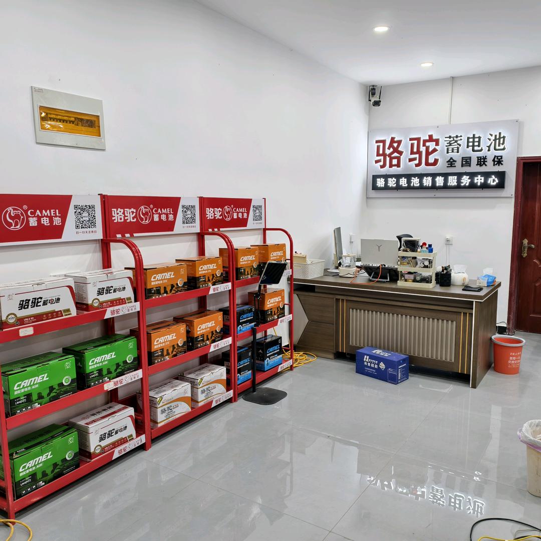 漯河骆驼蓄电池