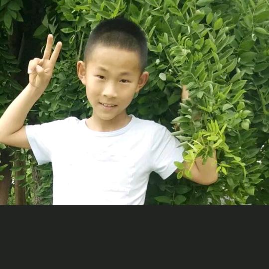 🦋蝴蝶🌹🌹🌺