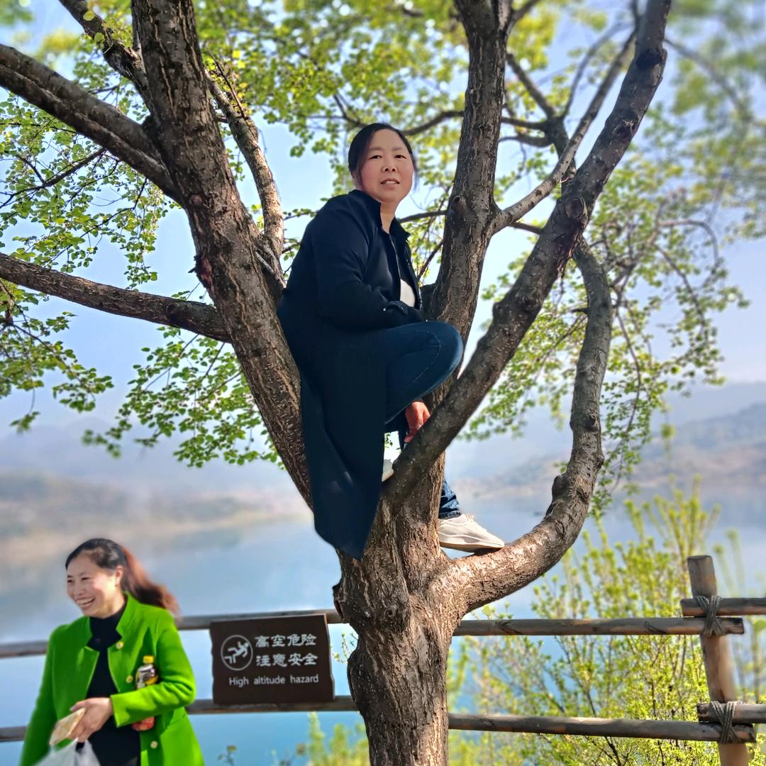 简单的我