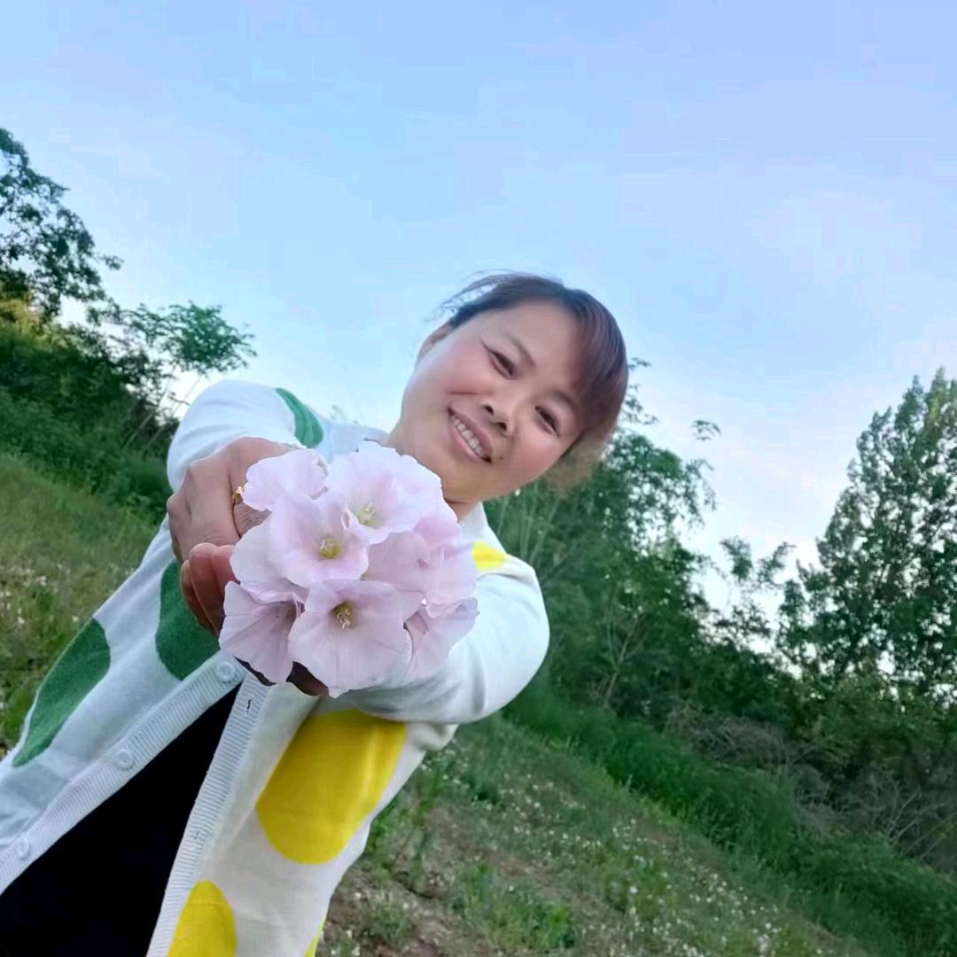 平淡生活
