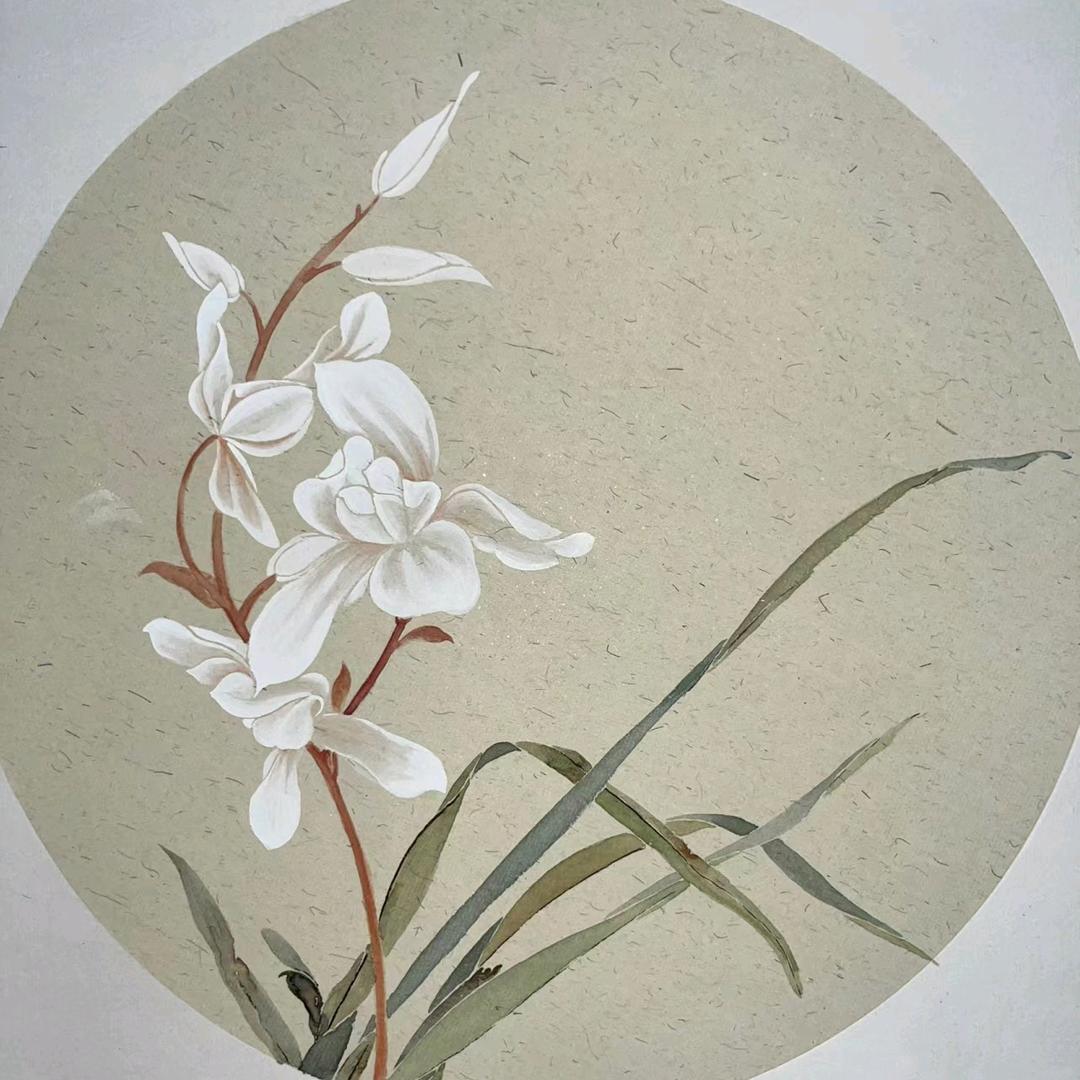 伏牛山兰花产业园(c13)-小黄